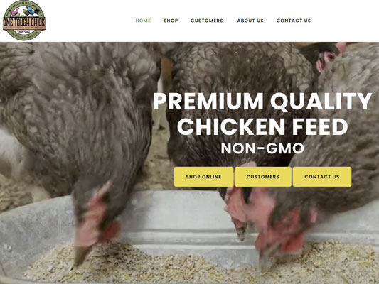 One Tough Chick Feed Website